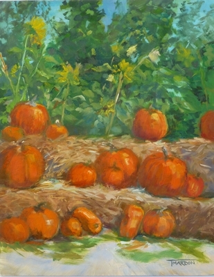 Pumpkins Galore